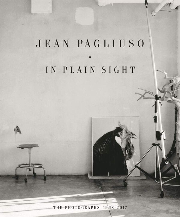 Jean Pagliuso – In Plain Sight