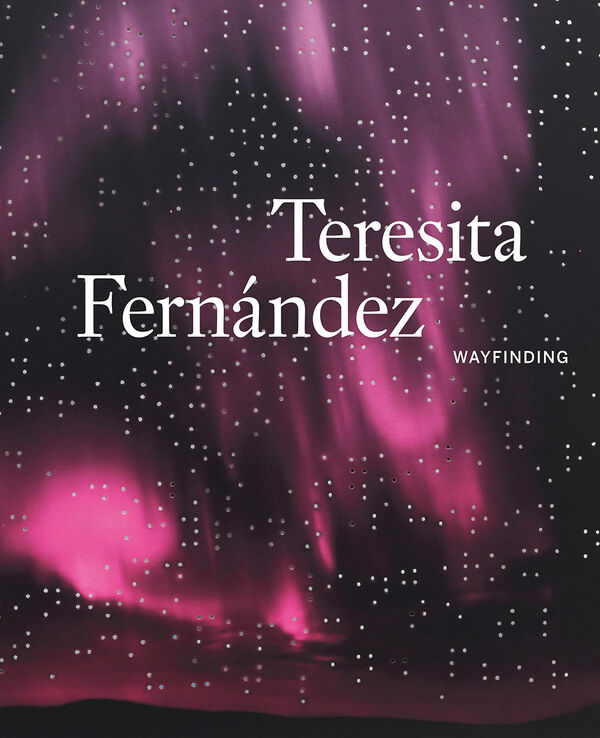 Teresita Fernández – Wayfinding